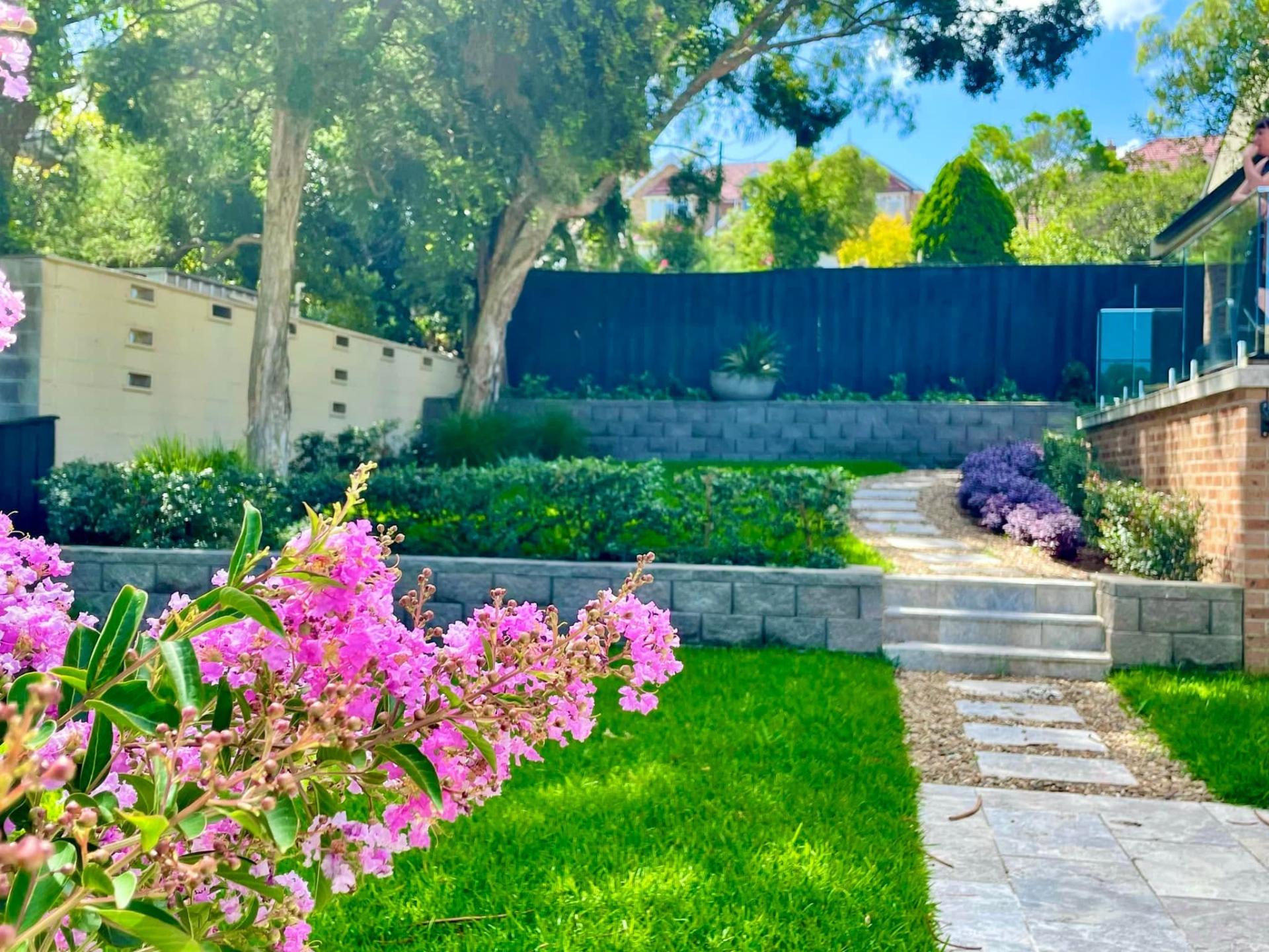 Established residential garden with retaining walls, lawn and flowering planting