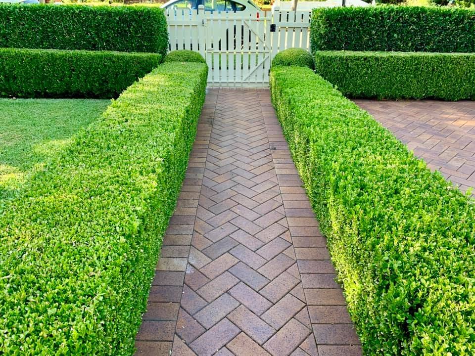 Formal Hedged Entry — Five Dock, Sydney